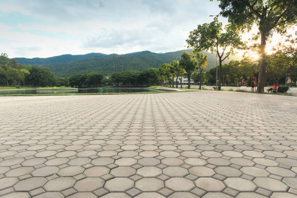 Best Professional Driveway Pavers  in Des Peres, MO