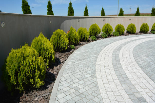 Reasons to Select Us for Your Driveway Paving Requirements in Des Peres, MO